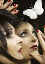 Siouxsie and the Banshees Punk