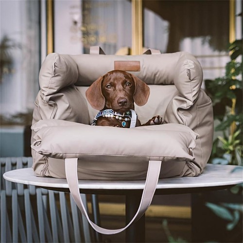 Dog booster car - car, 1