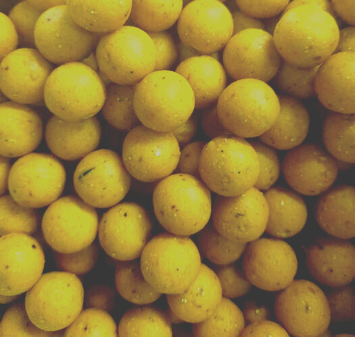 Pineapple carp bait boilies - , 2