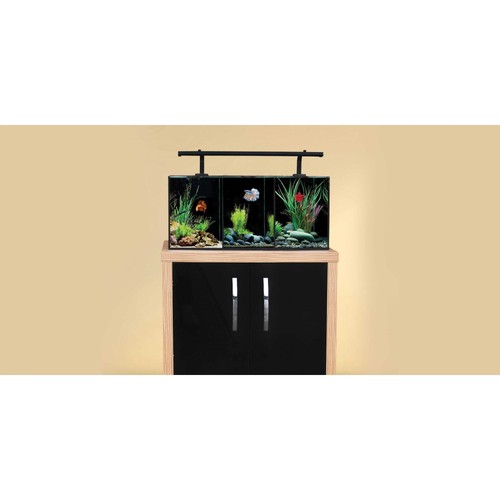 Aqua one betta trio - trio, glass