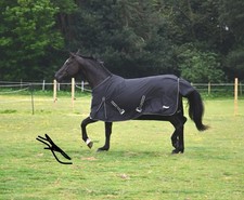 Rhinegold Bolivia 0g Horse