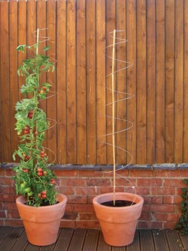 Twister plant support - twister,
