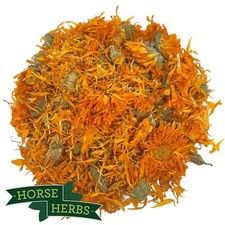Horse Herbs Marigold Flowers