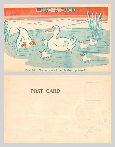 Vintage postcard comic - vintage,