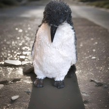 Glitter Penguin Christmas