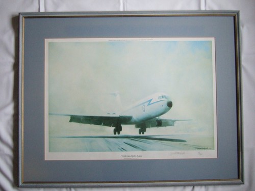 David shepherd limited edition - shepherd,