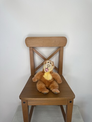 Bear from the - from, in