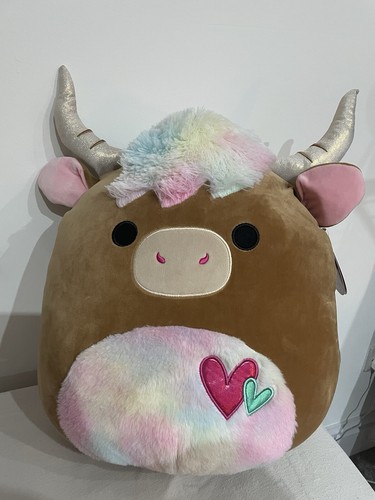 Candela highland cow - candela,