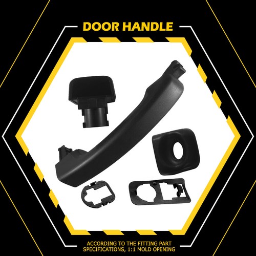Rear back door - back,