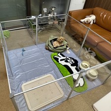 8 Panels Premium Acrylic Dog