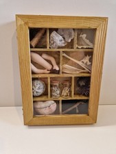 Curio taxidermy nature - taxidermy, oddity