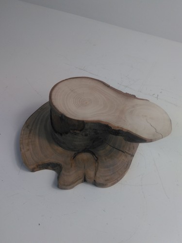 Level wood slice rustic - 1,