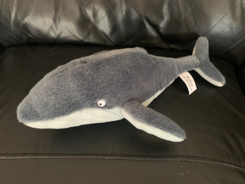The snail and whale - and,