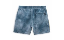 Vans Mens Primary Swim Shorts