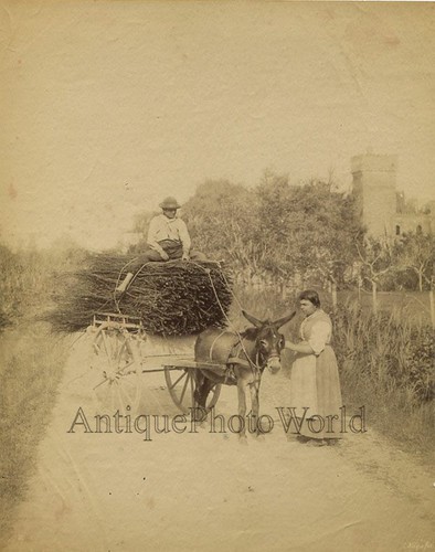 Italy peasants with donkey