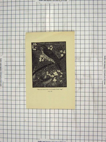 Original old antique print - original,