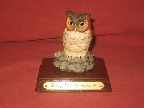Tawny owl leonardo - tawny,