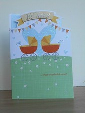 It's TWINS! What wonderful