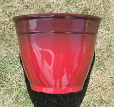 Large Red Glazed Style Plant