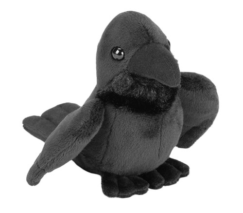 New raven wild republic - raven,