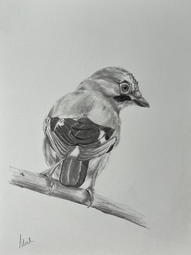 Original signed graphite - original,