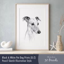 Black & White Dog Art Print