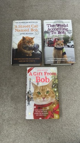 Street cat named - street, bob