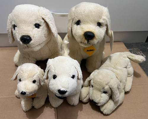 Bundle andrex labrador - bundle, of