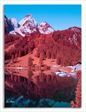 Converted Full Spectrum Infrared IR Panasonic DMC-G1 Camera  26