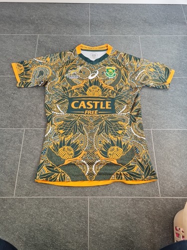 South africa rugby springbok - south,