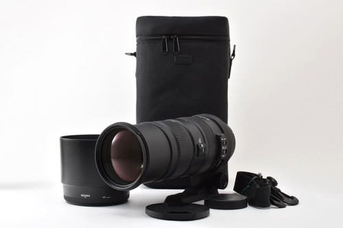 Mint case hood - [mint, sigma