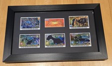 Dinosaur king framed - framed, trex