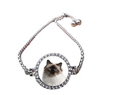 Birman Cat Pet Silver Colour