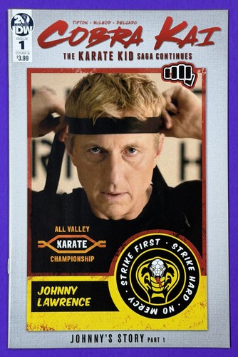 Cobra kai the - kid, saga