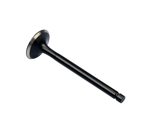 Exhaust valve for - exhaust,