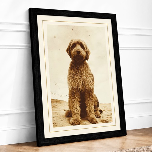 Poodle portrait vintage - poodle, framed