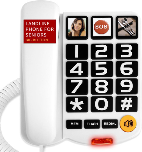 Big button landline - button, phone
