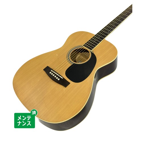Legend aria n acoustic - fg-15,