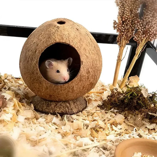 Hamster house bite resistant - hamster,