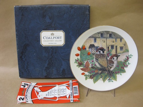 Coalport bone china plate - plate, ~