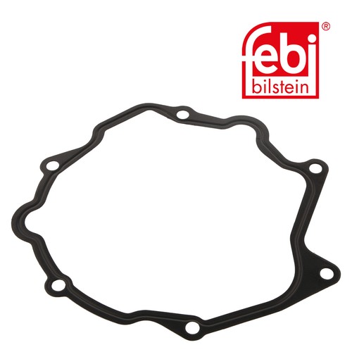 Brake vacuum pump gasket - gasket, seal