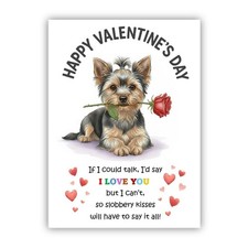 Yorkshire Terrier – Yorkie