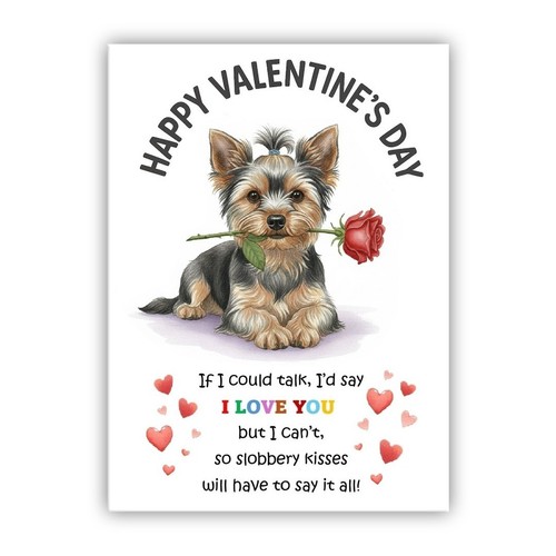 Yorkshire terrier yorkie - terrier,