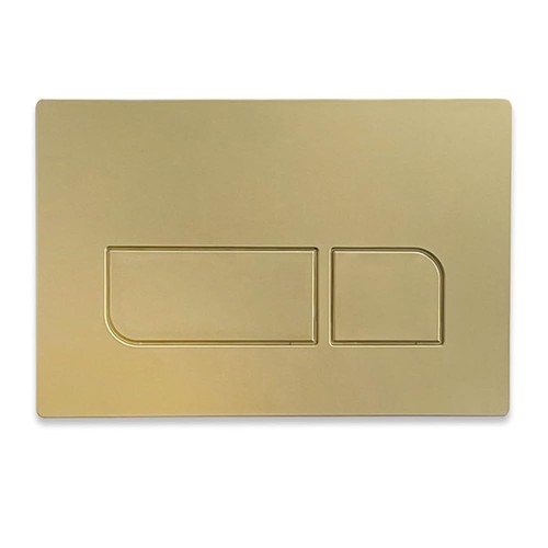 Toilet dual flush plate for - toilet,