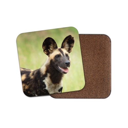 African wild dog coaster - wild,