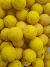Pineapple carp bait boilies 15