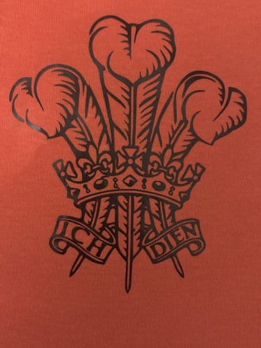Welsh rugby three feathers - three,