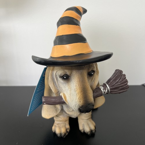 Basset hound dog - in, witch
