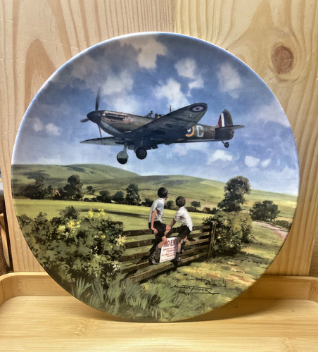 Vintage royal doulton plate - doulton,