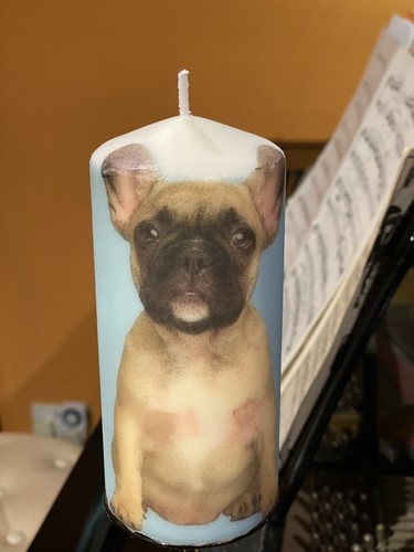 French bulldog pup design - french, hand